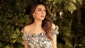 Hansika as seen in a post (Hansika Motvani / Instagram)