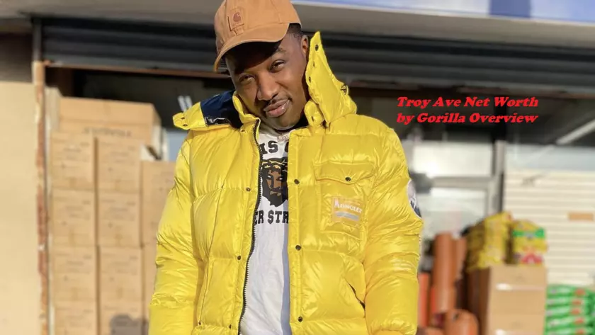 Troy Ave Net Worth