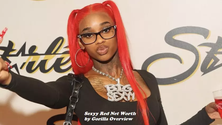 Sexyy Red Net Worth
