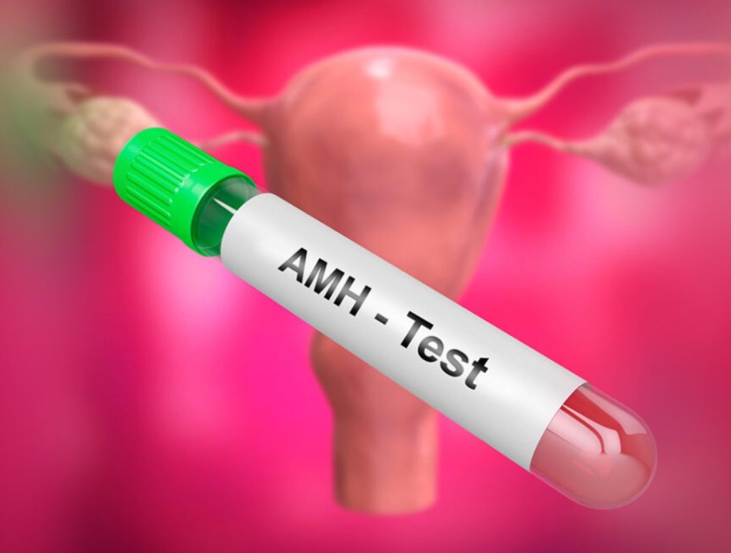 The AMH Blood Test: A Comprehensive Guide To Ovarian Health And ...