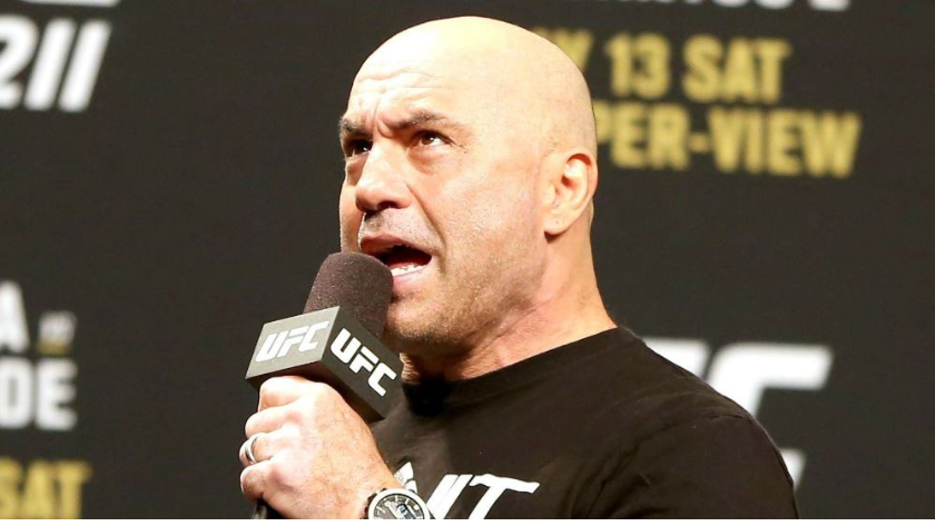 joe rogan net worth