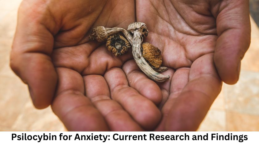 Psilocybin for Anxiety: Current Research and Findings