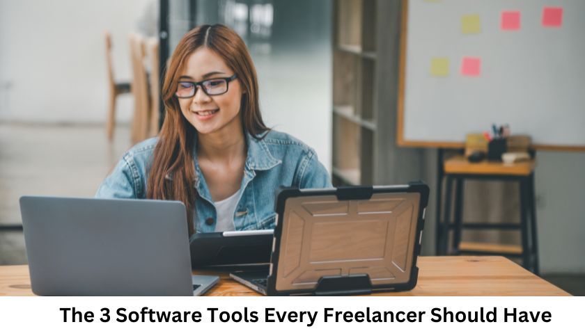 freelancer software