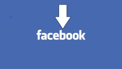 Facebook Reels Downloader