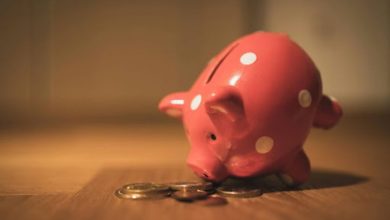Smart Strategies to Grow fund