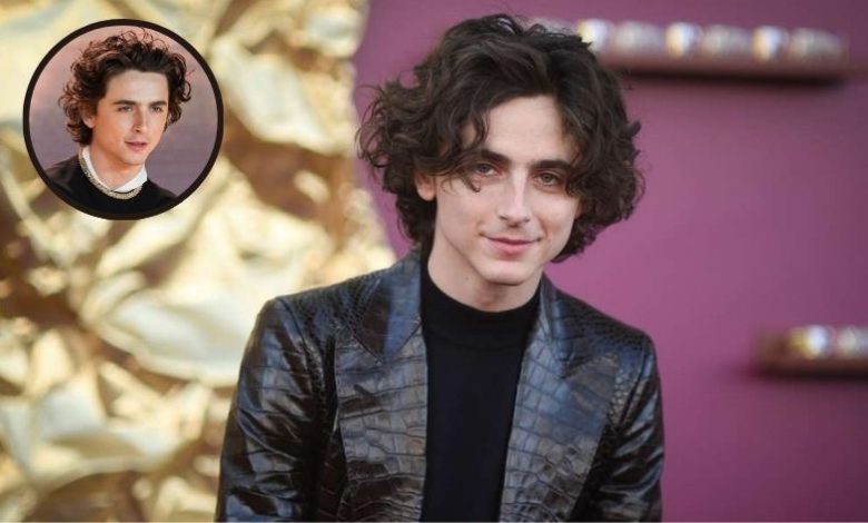 timothee chalamet age