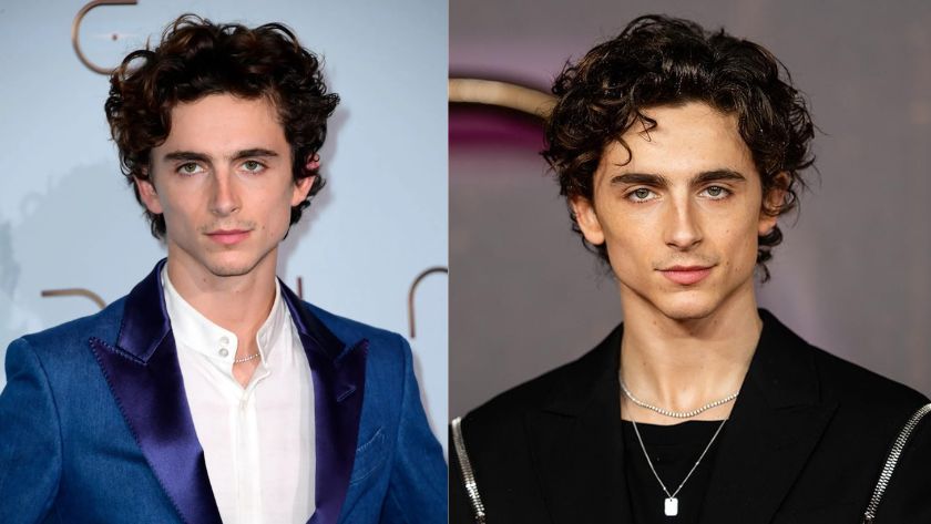 timothee chalamet