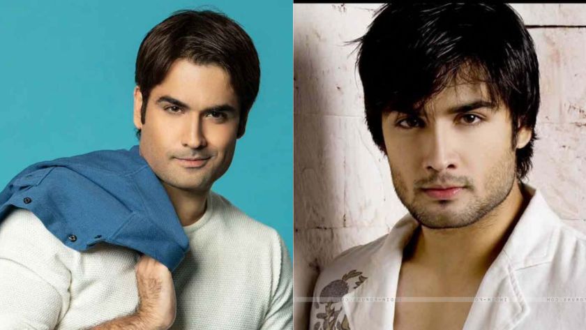 vivian dsena